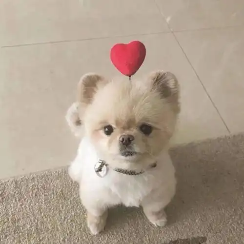  想念一个人是什么体验