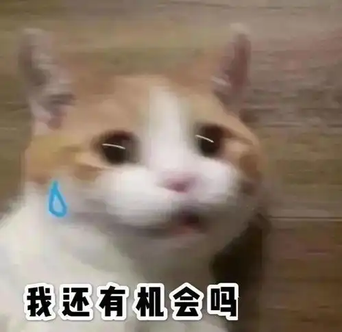  送你超实用绘画干货大礼包,电子书1000例临摹素材,还有30g高清教学视频想要的全都有