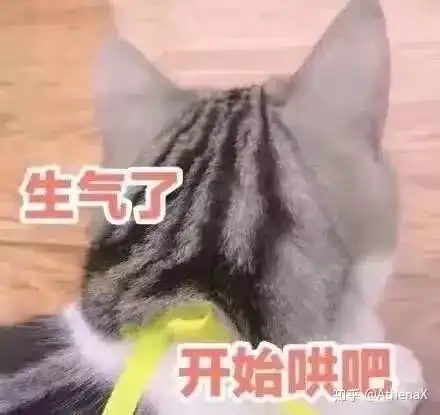  考完研,你发现了考研的哪些坑