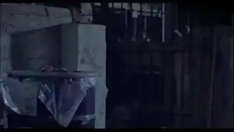  军统女杀手电影