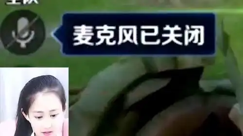 搞笑王者荣耀玩的菜不要紧,把语音关了就好,真是太机智了  搞笑王者荣耀玩的菜不要紧,把语音关了就好,真是太机智了