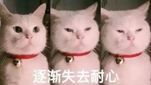  看电影看到气哭烂片排雷指南来了