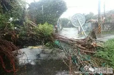  快讯台风鲇鱼440登陆惠安,强风雨扫荡福州等地18号台风紧随