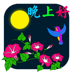  晚上好的祝福语带动态晚安图片