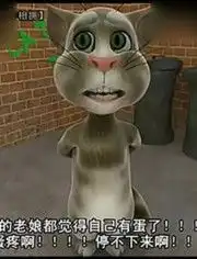 tom猫搞笑图片