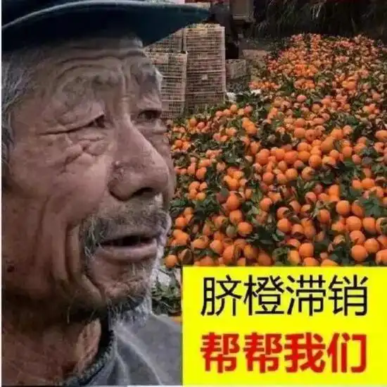  这位大爷为何卖啥啥滞销背后真相令人很愤怒