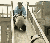  农村搞笑视频合集