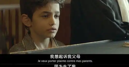  去年最被低估的电影终于出资源