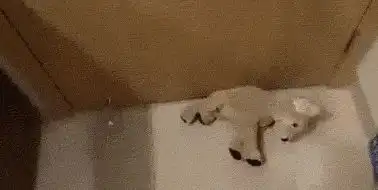  搞笑图片爸妈在家都是怎么怼你的说好的爱我呢