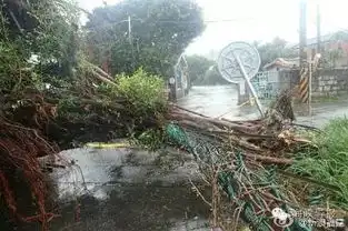  快讯鲇鱼440登陆惠安沿海,厦门狂风暴雨第18号台风暹芭紧随而来
