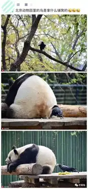  2018最搞笑的微信朋友圈截图,哈哈哈哈哈笑到窒息