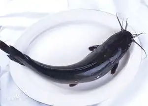  这是什么鱼