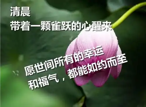  非常好看的清晨早上好问候语录图片,早安阳光问候语短信祝福