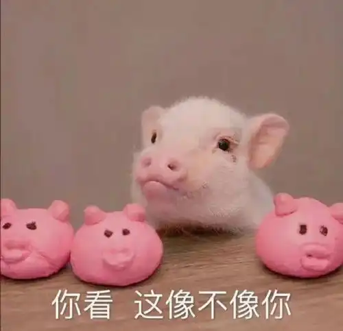  表情包猛女害羞