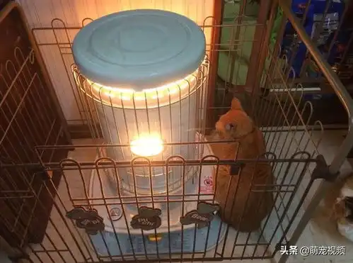 搞笑猫咪图片一箩筐,喵呜  搞笑猫咪图片一箩筐,喵呜