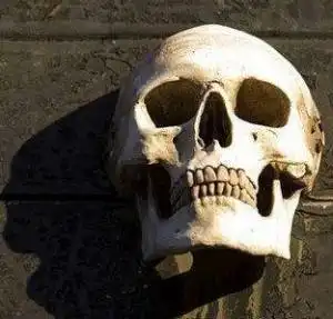 生活面面观从微信头像看人性格  生活面面观从微信头像看人性格