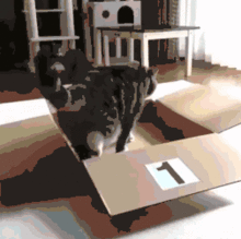  搞笑gif趣图花式健身,妹子真是没谁了