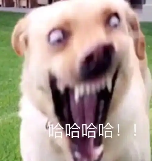  拯救文荒的姐妹们原耽推文