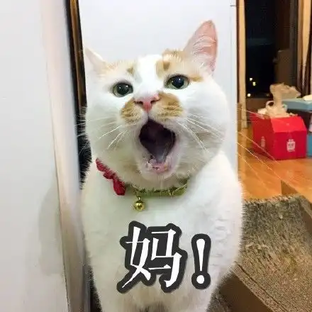  作为日吸三百遍的猫奴,你一定知道这件事内附洗澡视频
