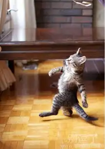 最新幽默笑话大全,搞笑段子大全,搞笑动态图片大全第208页别逗了笑话网  最新幽默笑话大全,搞笑段子大全,搞笑动态图片大全第208页别逗了笑话网