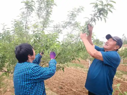 库伦旗水泉乡小康路上锦绣花开 库伦旗水泉乡小康路上锦绣花开