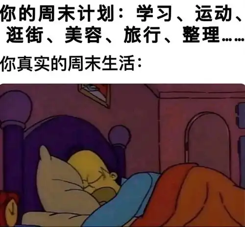 每日一笑你为假期制定的所有计划vs你真实的假期生活  每日一笑你为假期制定的所有计划vs你真实的假期生活