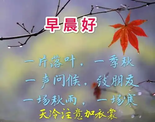  羡慕别人闪闪发光的时候,但其实大多人都是普通的,早上好