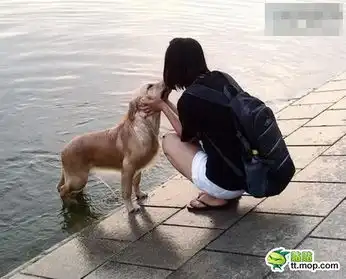  搞笑无聊雷囧图集