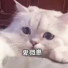  给自己立一个flag,七月底到四千粉