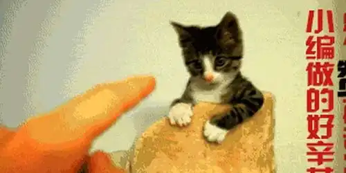  主人正在睡午觉,猛的被惊醒,看清之后就想立马拿起拖鞋去揍狗