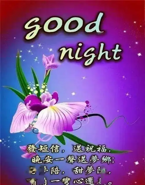  群发晚上好问候动态表情包,睡前晚安问候祝福图片带字精选