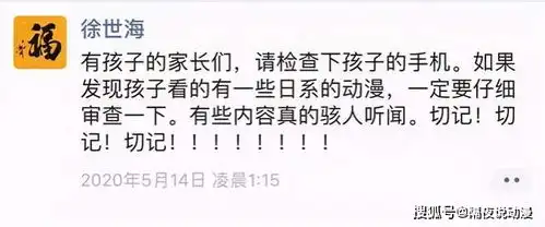  17岁少年因暗黑动漫和游戏坠亡,其父走上了打击acg之路