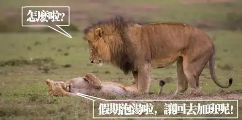 你愿意陪我一起加班吗不愿意  你愿意陪我一起加班吗不愿意