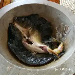  老字号三鱻鱼庄石锅鱼的桂花鱼好不好吃用户评价口味怎么样澄江县美食桂花鱼实拍图片大众点评