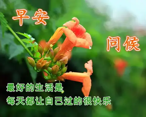  早上好问候语早上好动图表情专辑早上好表情包