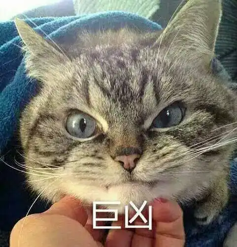  为什么沉默的是路人,愤怒的总是网友