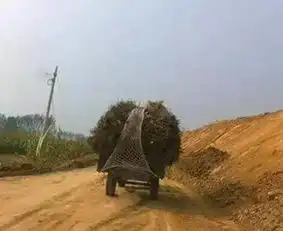 无聊图片 搞笑图片马路