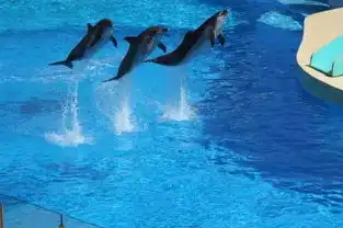 郑州首个海底餐厅即将开放园博园8月试运营  郑州首个海底餐厅即将开放园博园8月试运营