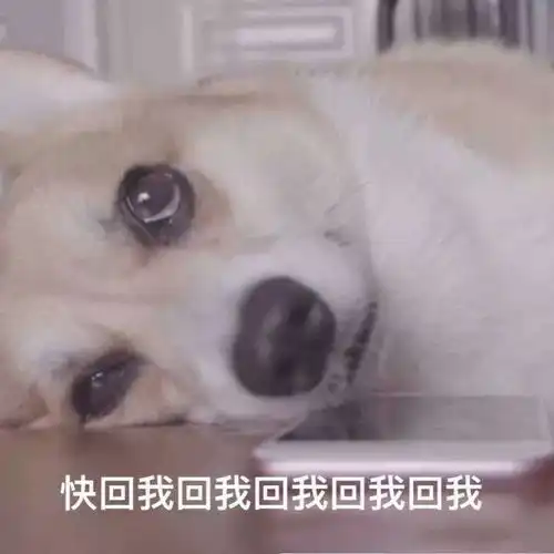  求助有带炮去过香港亚博的姐妹吗