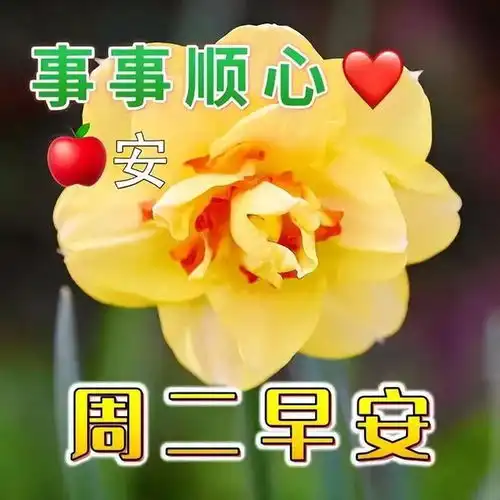  8月6日早安漂亮图片问候祝福语