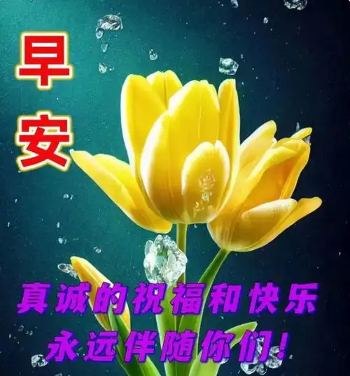  早上好风景图片大全,早安问候语祝福短信配图