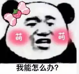  可爱的猪猪表情包你收藏了几个我这有一打