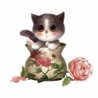 可爱卡通小猫头像大全水果小图案  可爱卡通小猫头像大全水果小图案