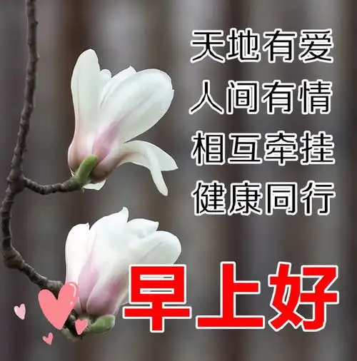  周日吉祥牵挂是美丽的鲜花,思念是情感的升华早安祝福美图分享给您网易订阅