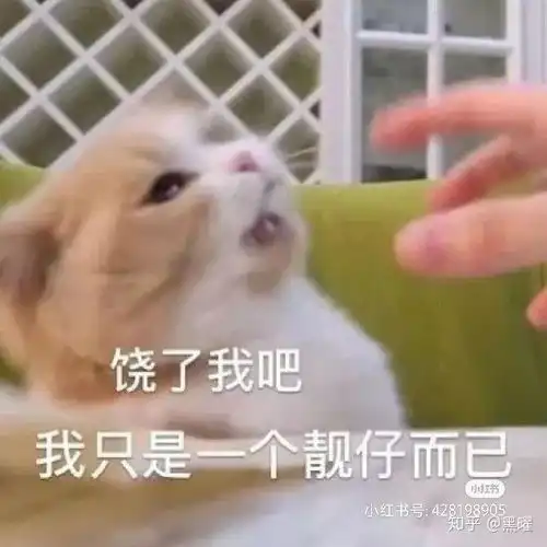  深夜自看的小说推荐