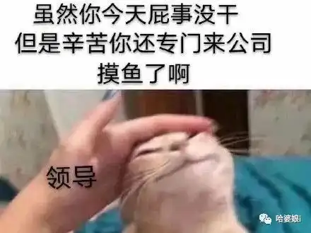 佛系摸鱼的最高境界一般人做不到真的是人才  佛系摸鱼的最高境界一般人做不到真的是人才