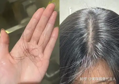  一看就很贵气的女孩子是什么样子的