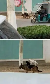  搞笑gif趣图这就是你的闺蜜,宁可把你送给臭男人也不想养你
