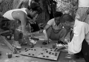 老照片1956年的新疆大漠风情别具一格  老照片1956年的新疆大漠风情别具一格