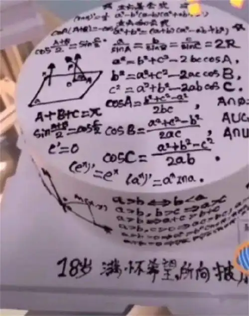  生日蛋糕插满课本